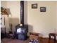 1 Silvergull Court, Silverleaves VIC 3922