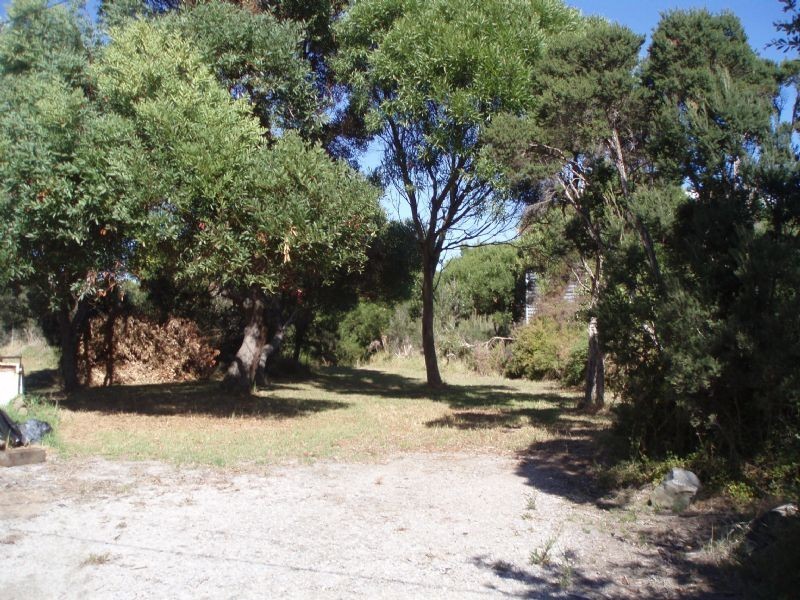 31 Princeton Ave, Cape Woolamai VIC 3925