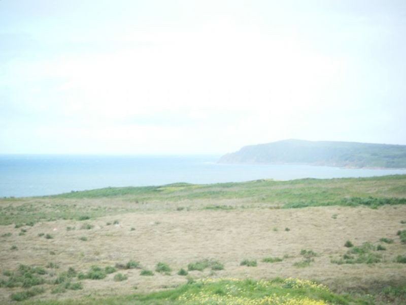 Pavilion 2, Unit 3/126 Shetland Heights Road, San Remo VIC 3925