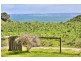 6 Cadogan Avenue, Ventnor VIC 3922