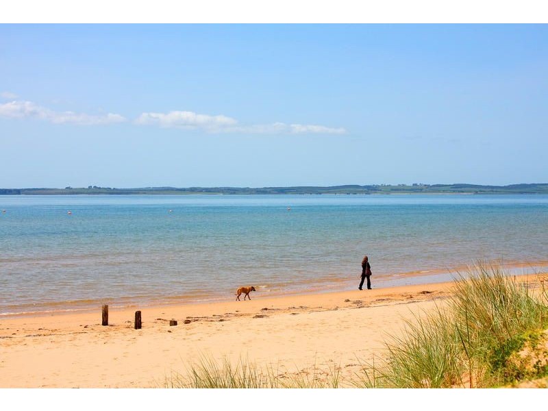 11 Rose Avenue, Cowes VIC 3922