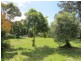 35 Pine Avenue, Cowes VIC 3922