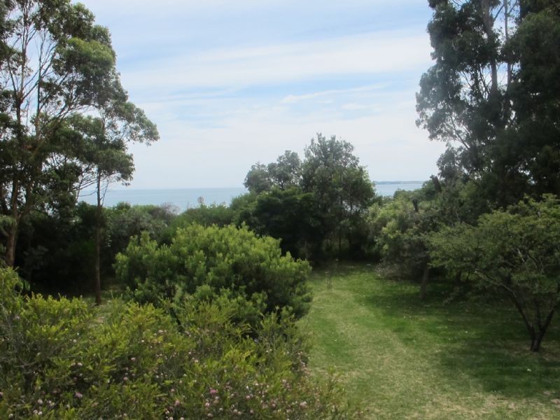 353 Coghlan Road, Silverleaves VIC 3922