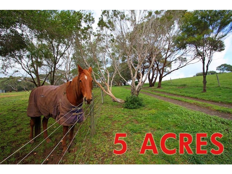 56 McFees Road, Rhyll VIC 3923