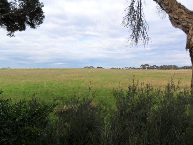 55 Churchill Drive, Cowes VIC 3922