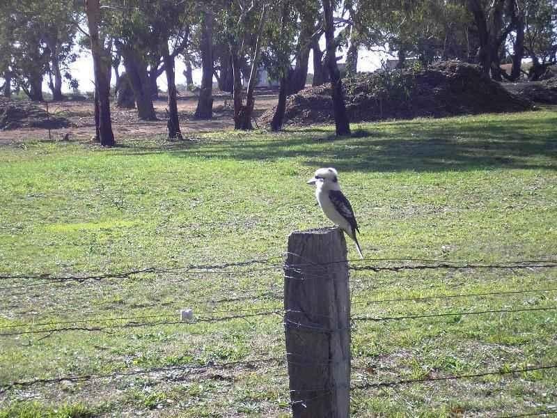 Lot 1/2124 Phillip Island Road, Cowes VIC 3922