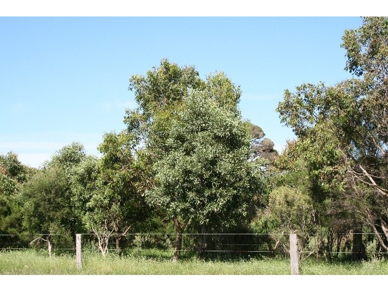 Lot 121 Justice Road, Cowes VIC 3922