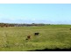 Lot 2 Ventnor Road, Ventnor VIC 3922