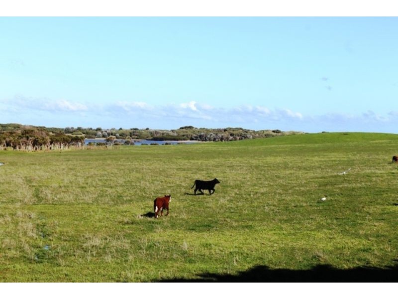 Lot 2 Ventnor Road, Ventnor VIC 3922