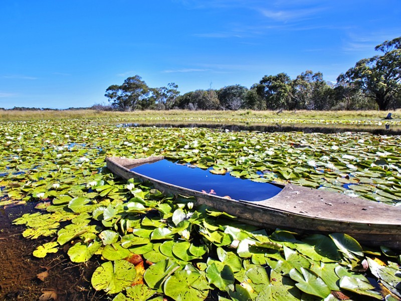 170 Harbison Road, Rhyll VIC 3923