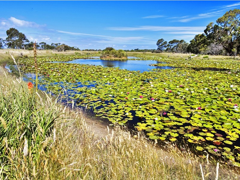 170 Harbison Road, Rhyll VIC 3923