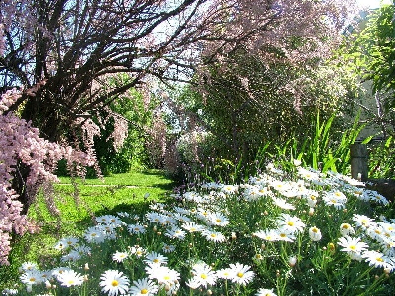 16 Chillingworth Road, Cowes VIC 3922