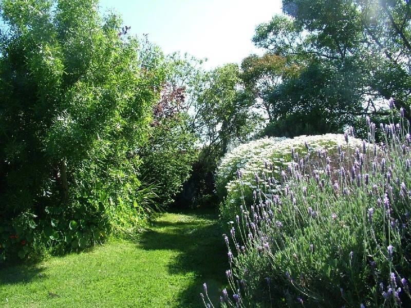 16 Chillingworth Road, Cowes VIC 3922