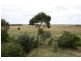 190 Bass Landing Road, Bass VIC 3991
