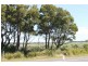 16 Ventnor Rd, Cowes VIC 3922