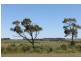 16 Ventnor Rd, Cowes VIC 3922
