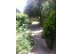 1 Gordon Street, Cowes VIC 3922