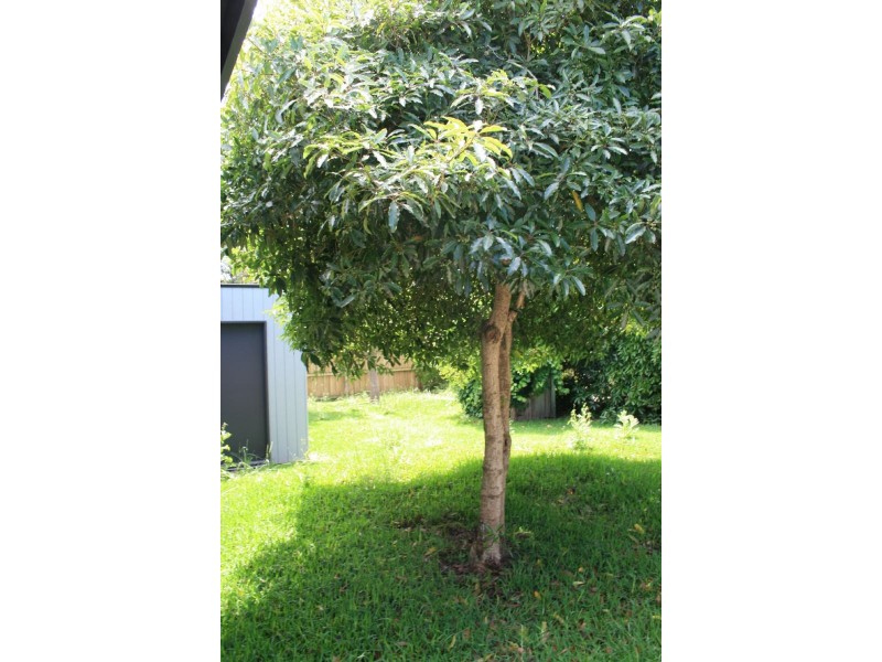 139 Vista Drive, Cape Woolamai VIC 3925