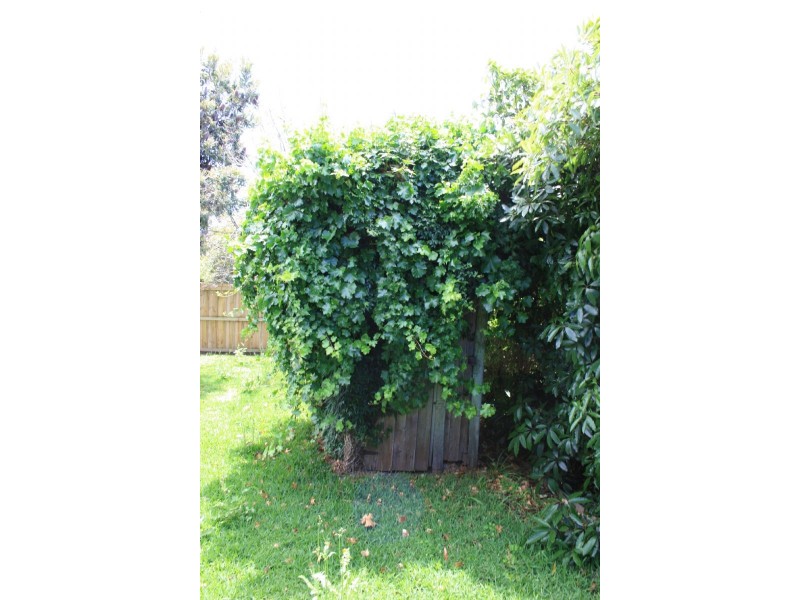 139 Vista Drive, Cape Woolamai VIC 3925