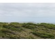 1 Tolley Avenue, Surf Beach VIC 3922