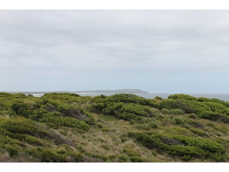 1 Tolley Avenue, Surf Beach VIC 3922
