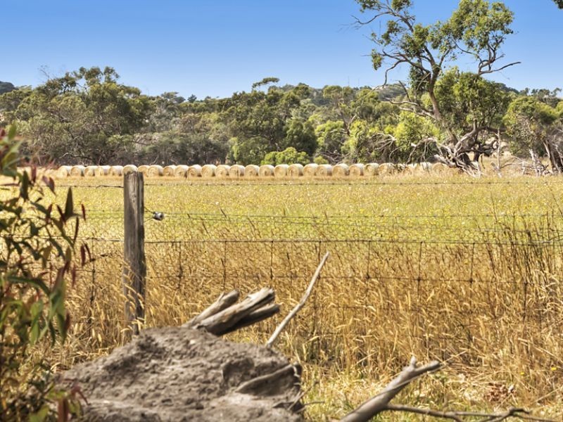 138 Harbison Road, Rhyll VIC 3923