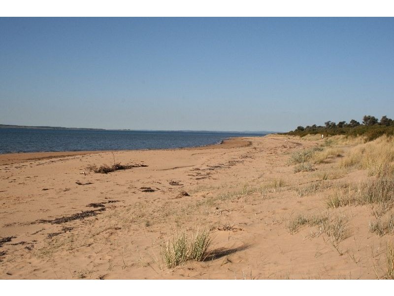 41 Bruce Road, Silverleaves VIC 3922