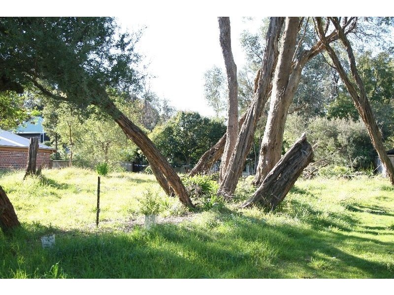 41 Bruce Road, Silverleaves VIC 3922