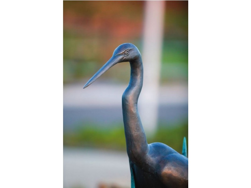 Lot 555 Currawong Close, Cowes VIC 3922