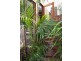 165 Vista Drive, Cape Woolamai VIC 3925