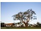 Lot 556 Currawong Close, Cowes VIC 3922