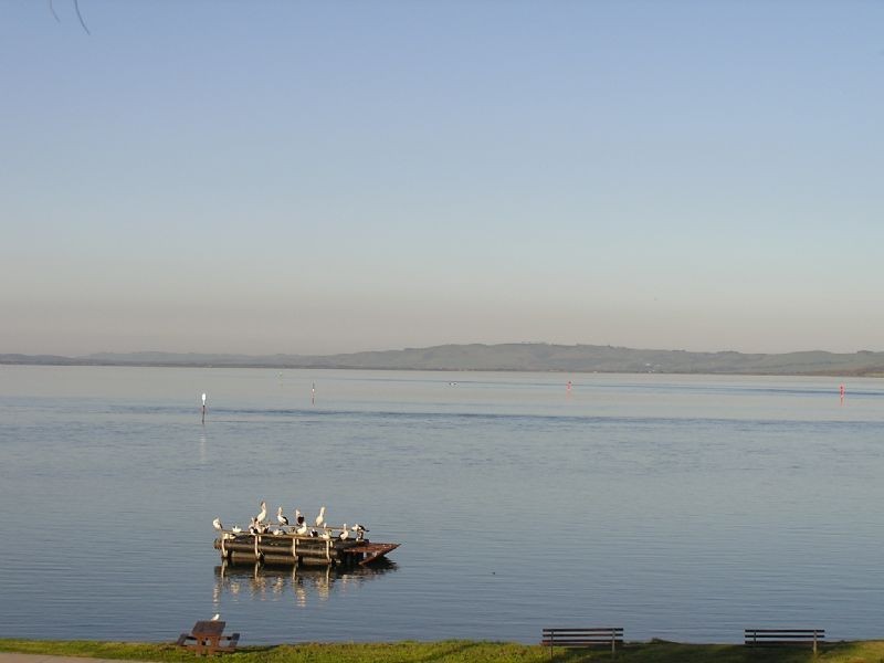 4/8-10 Forrest Avenue, Newhaven VIC 3925