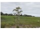 Lot 175 Boobook Grv, Cowes VIC 3922