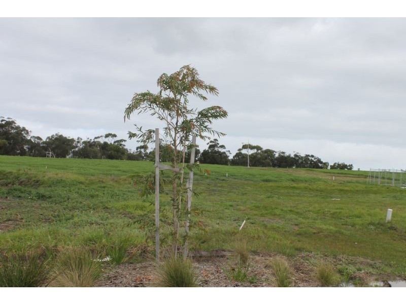 Lot 175 Boobook Grv, Cowes VIC 3922