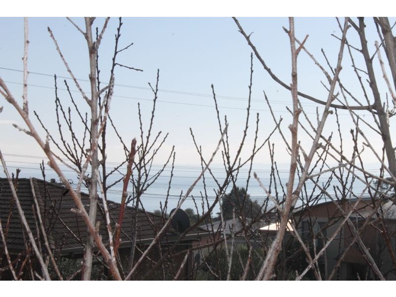 48 Panorama Drive, San Remo VIC 3925