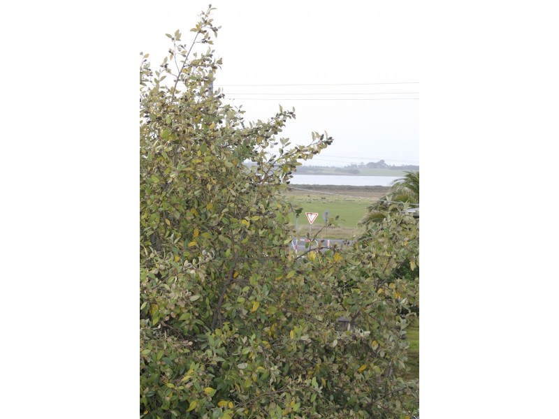 1 Hopetoun Crescent, Surf Beach VIC 3922