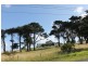 213 Back Beach Road, Smiths Beach VIC 3922