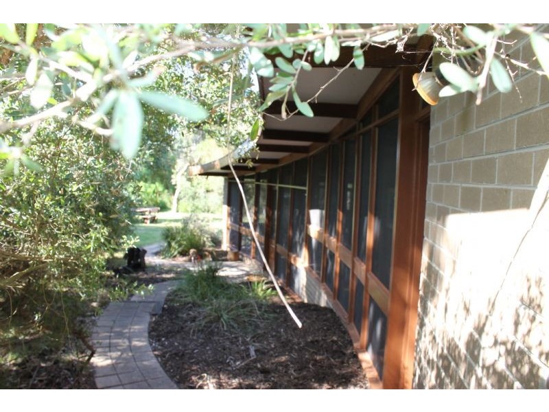 11 Woodlands Avenue, Silverleaves VIC 3922