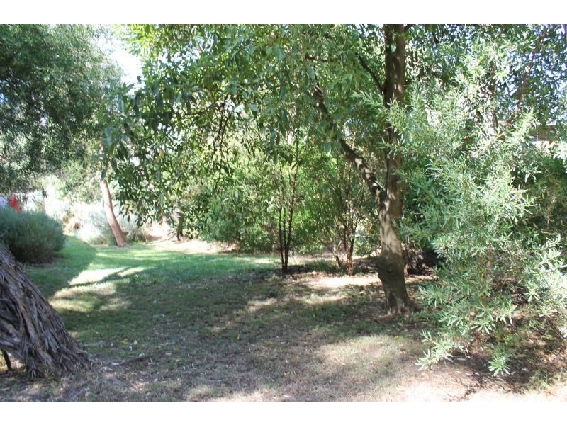 11 Woodlands Avenue, Silverleaves VIC 3922