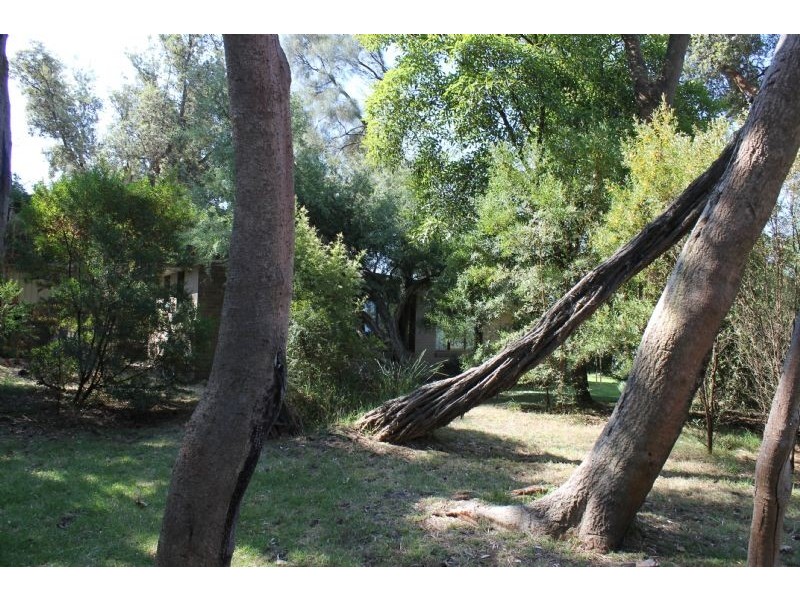 11 Woodlands Avenue, Silverleaves VIC 3922