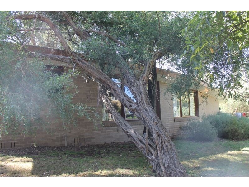 11 Woodlands Avenue, Silverleaves VIC 3922