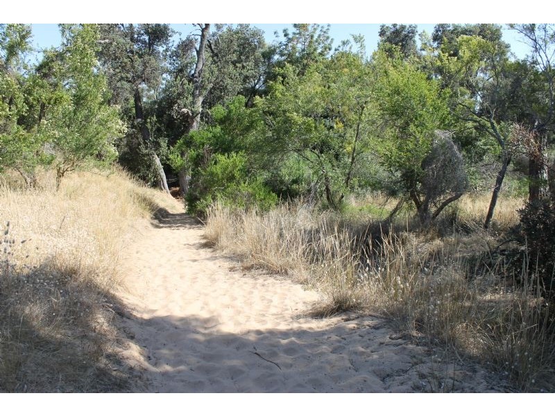 11 Woodlands Avenue, Silverleaves VIC 3922