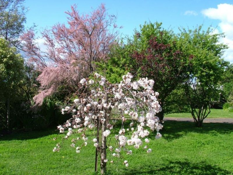 16 Chillingworth Road, Cowes VIC 3922