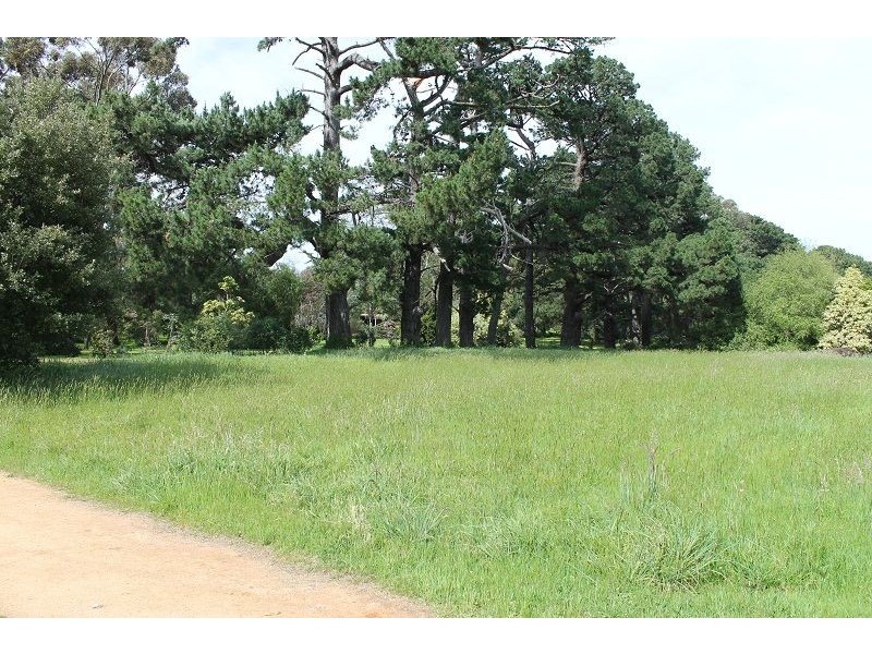 38 Anchorage Road, Ventnor VIC 3922