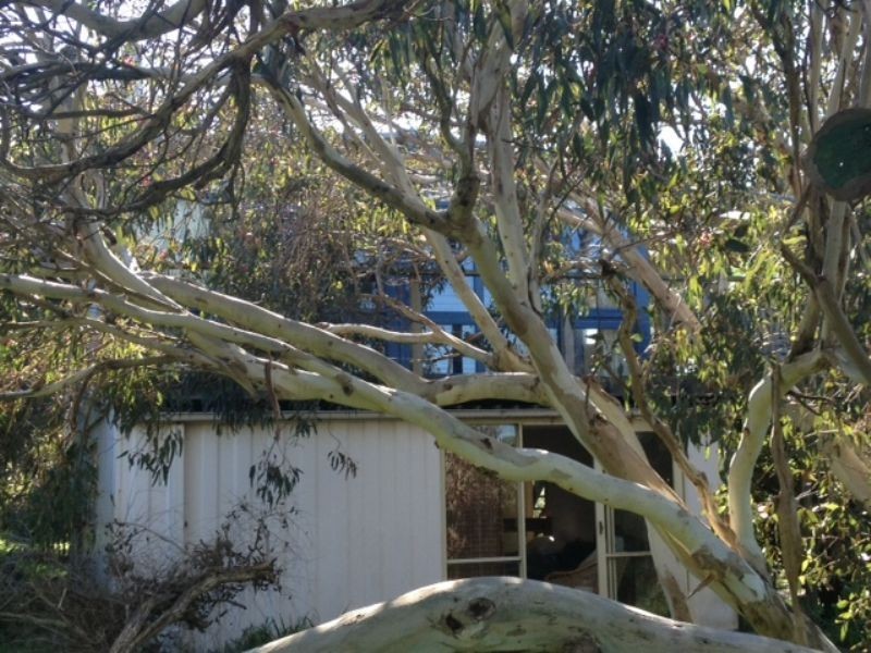 15 Beach Court, Smiths Beach VIC 3922