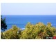 29 Hollywood Crescent, Smiths Beach VIC 3922