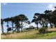 213 Back Beach Road, Ventnor VIC 3922
