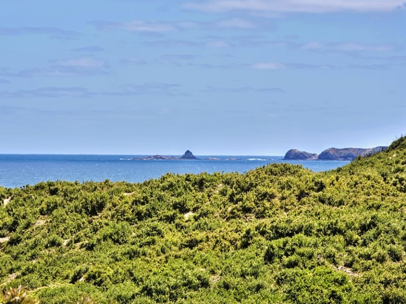 134 The Esplanade, Surf Beach VIC 3922