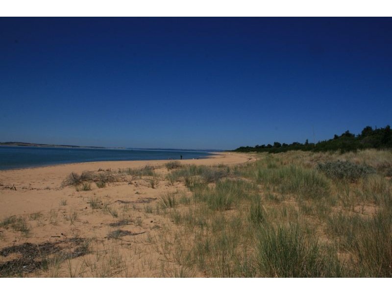 131 Silverleaves Avenue, Silverleaves VIC 3922