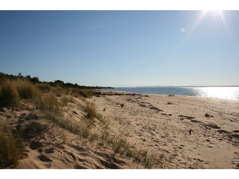 133 Silverleaves Avenue, Silverleaves VIC 3922